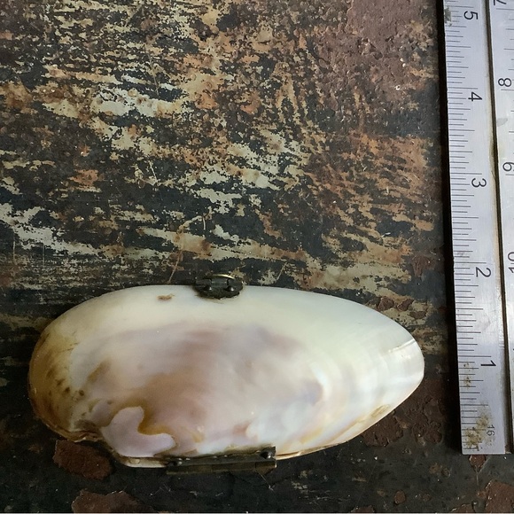 Antique Victorian Oyster Shell Purse - Picture 6 of 6